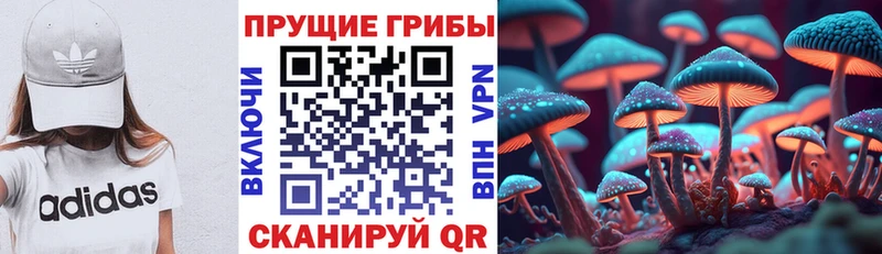 Псилоцибиновые грибы мицелий  Верхнеуральск 